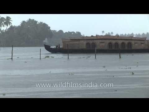 House boats on the Kerala backwaters