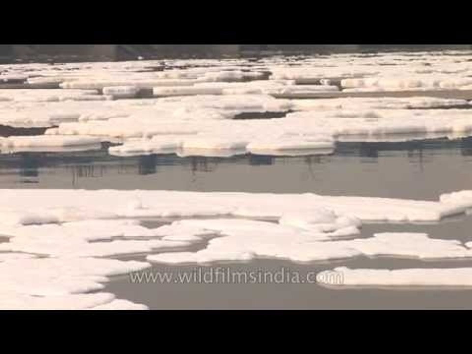 Pollution in Yamuna River