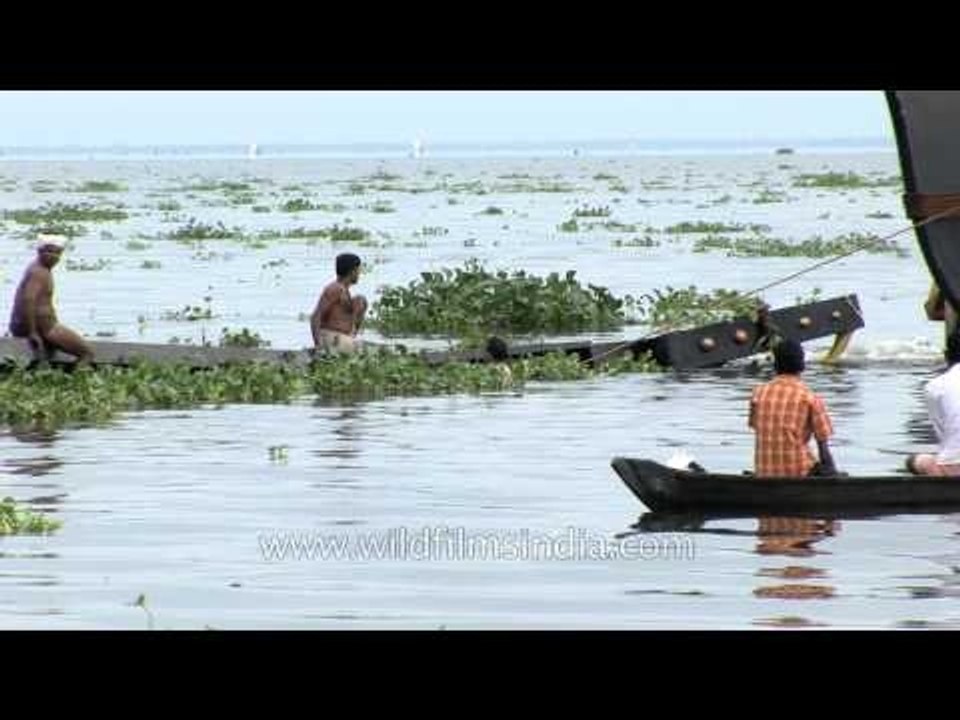 Dragging the snake - Snake boat in backwaters of Kerala