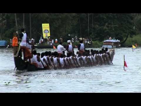 Paddling hard to win - Nehru Trophy Boat Race