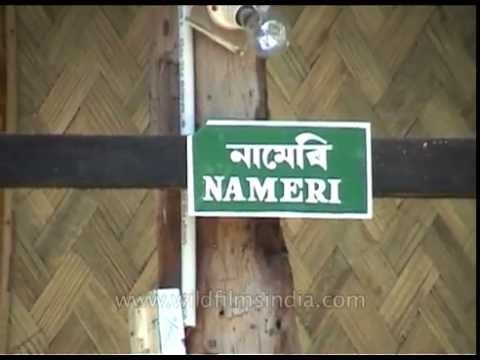 Thatched roof huts for staff and tourists at Kaziranga National Park