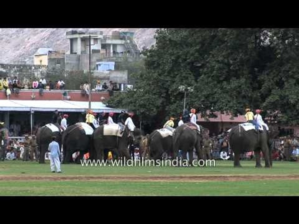 Players fight for the ball during Elephant Polo match, Jaipur