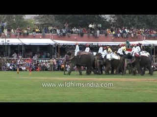 Jaipur Elephant Polo match in progress