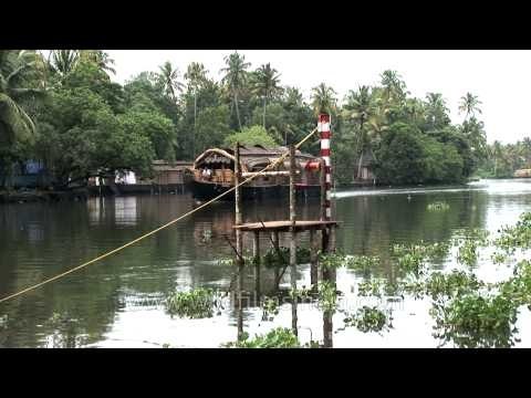 Rowing through the backwaters of Kerala