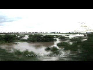 Passing by paddy field during a train journey to south India - Kerala