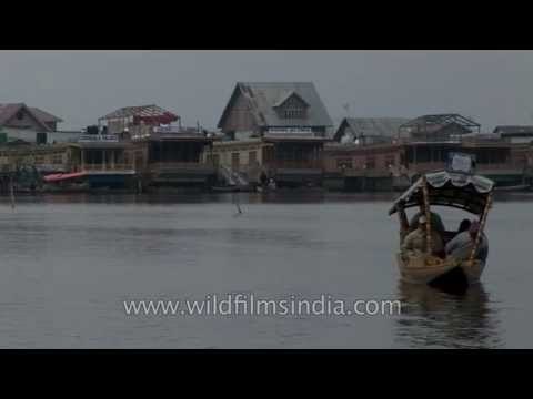 Tourists enjoy shikara ride on Dal Lake in Srinagar
