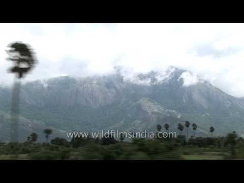 Lush green fields seen from a train