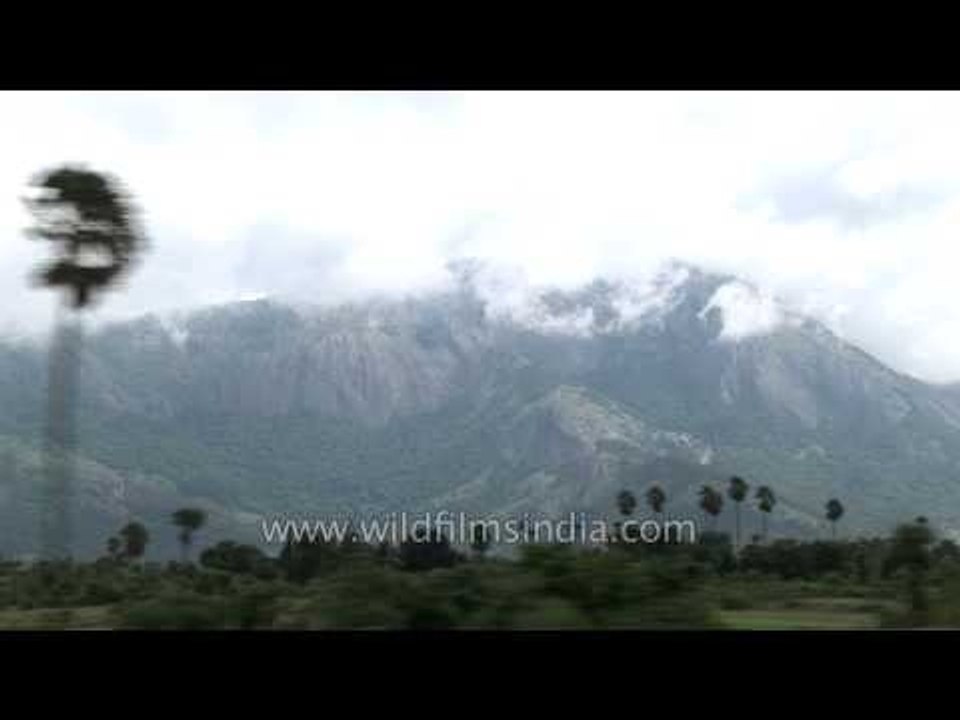 Lush green fields seen from a train