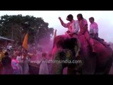 Foreigner dance with artists during Holi celebration at Jaipur