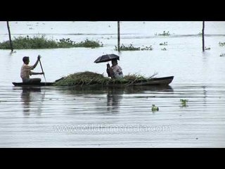 Houseboat cruiser drifting in placid waters of Kerala