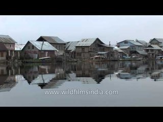 Shikaras lined up in the Dal Lake