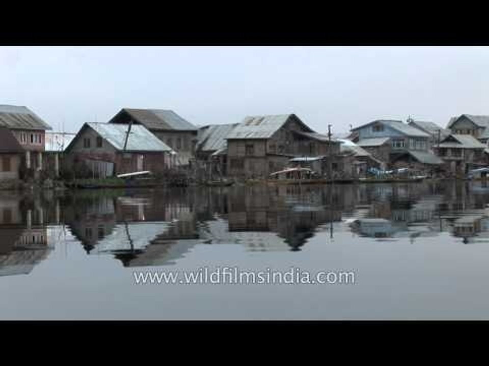 Shikaras lined up in the Dal Lake