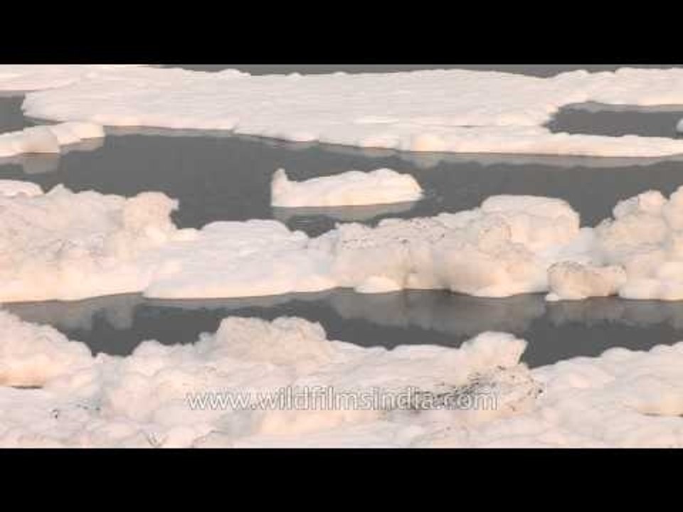 Detergent pollution in Yamuna River