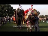 Decorated elephants at the Annual Elephant Festival, Jaipur