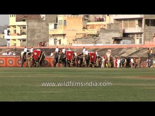 Decorated elephant leads the procession