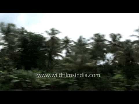 Train journey from North to South-west India: Kerala