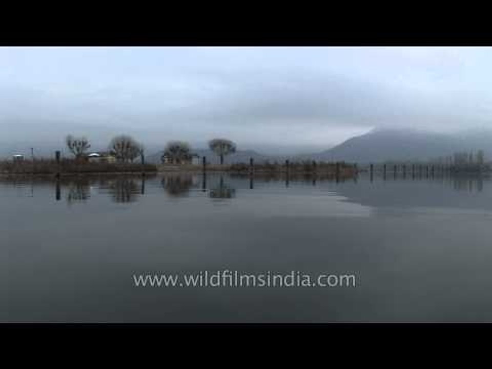 Shikara on the Dal Lake, Srinagar