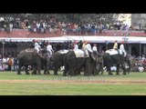 Crowd gathered to witness Elephant Polo, Jaipur