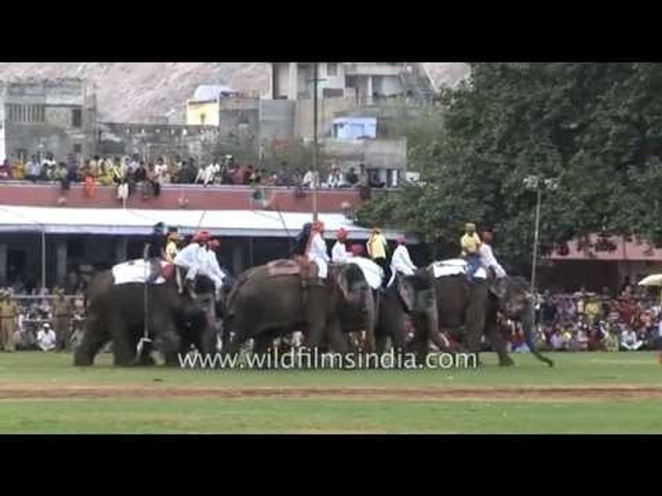 Players in full action during an Elephant Polo match