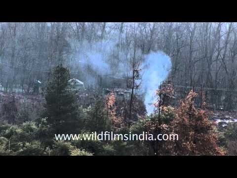 View of Dal Lake from JKTDC guest hut at Chashme Shahi, Srinagar