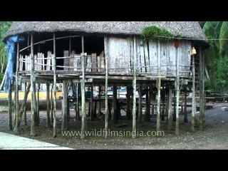 House on stilts in the Nicobar Islands archipelago