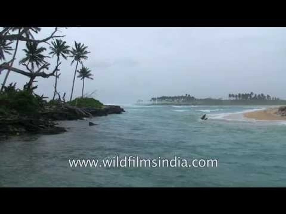 Coconuts and palms, clear sky and blue beaches: Car Nicobar Islands