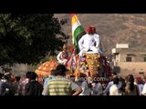 Parade of painted elephants at Jaipur Elephant Festival