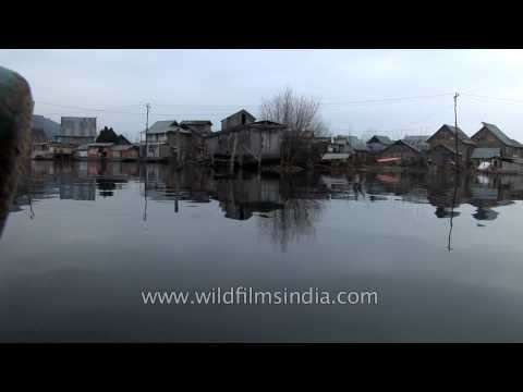 Enjoying a traditional Shikara boat ride on Dal Lake