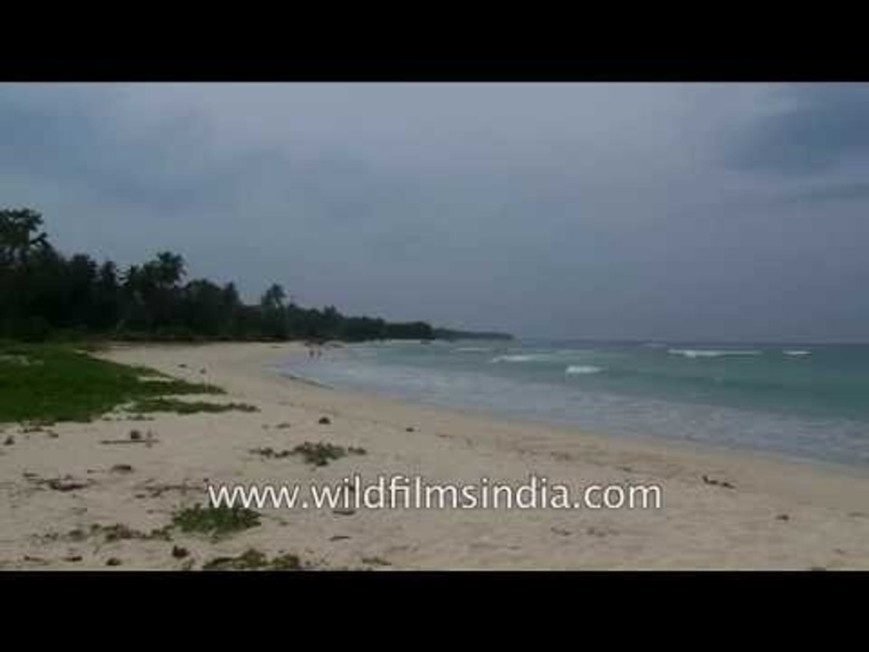 Come to Nicobar's clean white beaches - you'll forget crowded Goa!