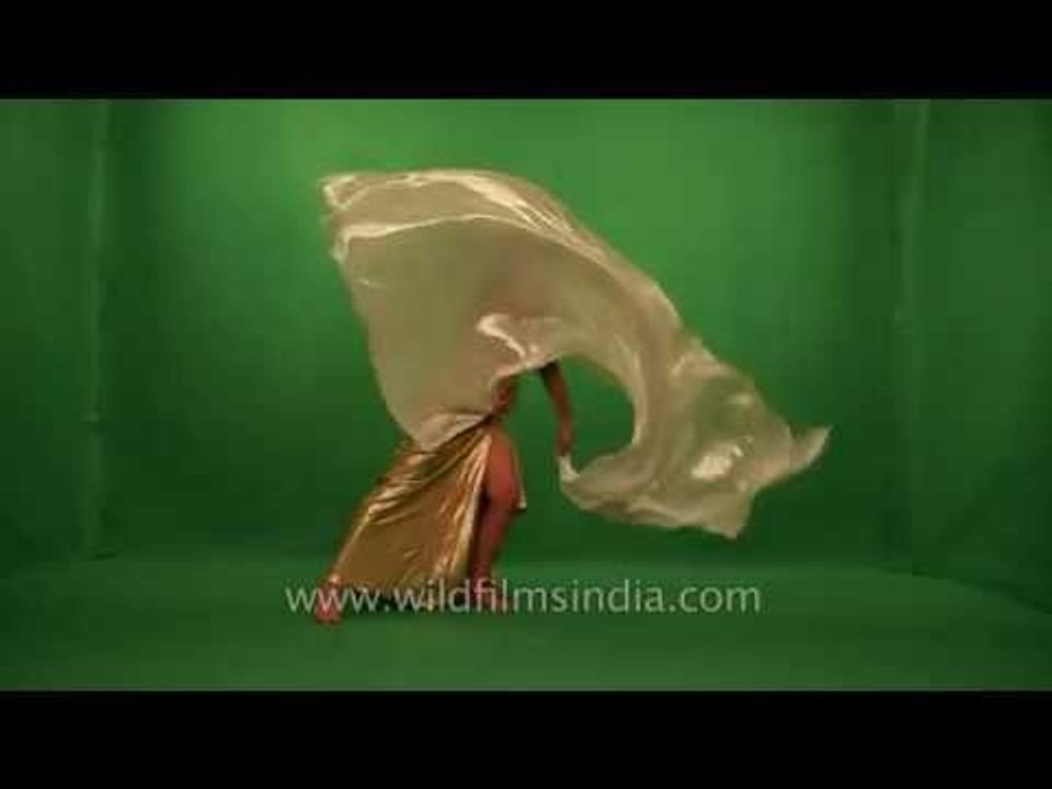Belly dancer in India