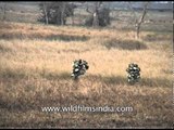 Ghillie suit-clad rangers patrol against poachers at Kaziranga, Assam