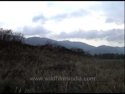 Beautiful panning shot of the western foothills Arunachal Pradesh