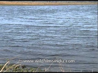 Pakke Tiger Reserve and its surroundings