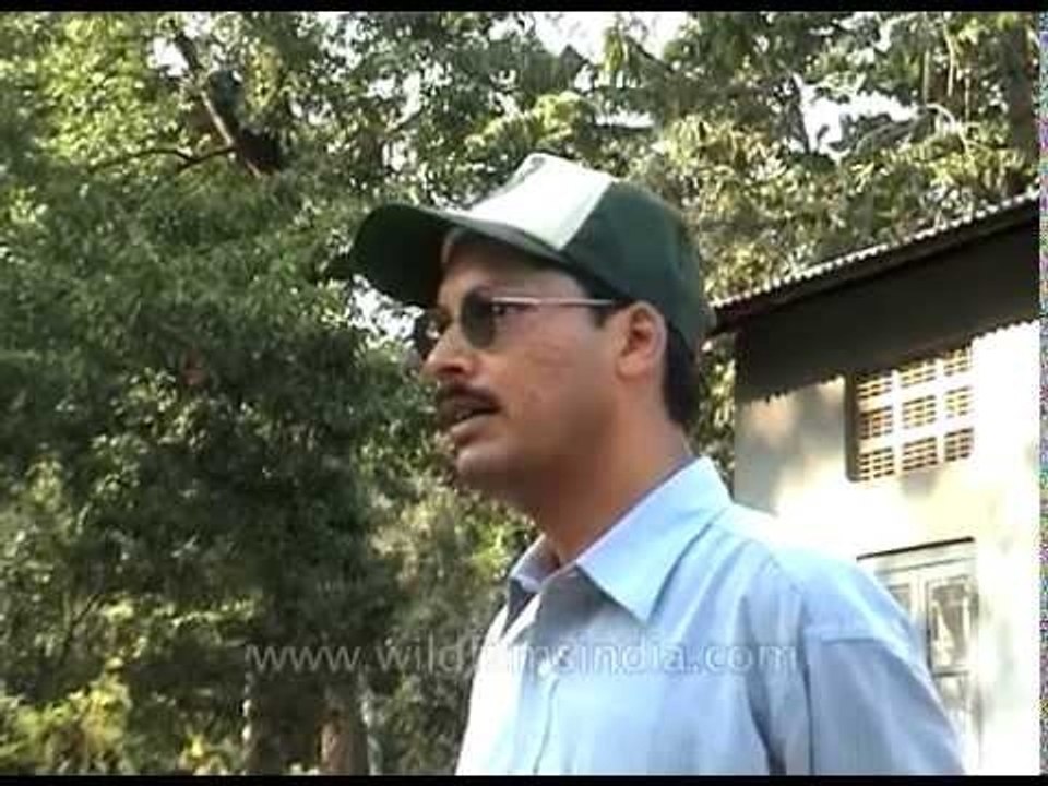 A park ranger explains the geography of Pakke Tiger Reserve, Arunachal Pradesh