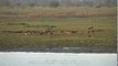 The sweeping grasslands of Kaziranga National Park