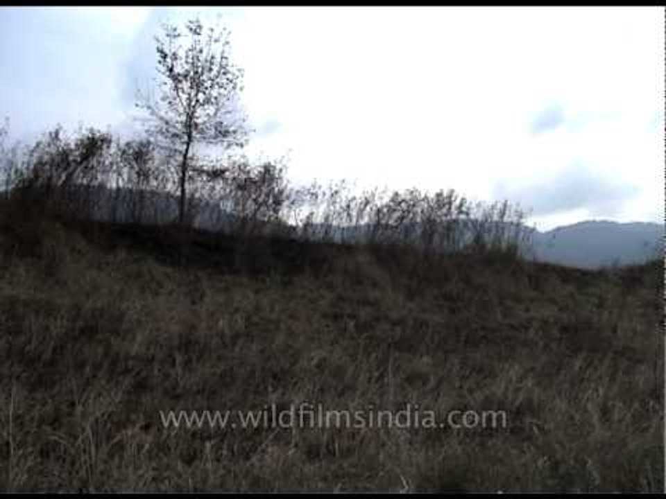 Sun begins to descend behind the foothills in Pakke Tiger Reserve