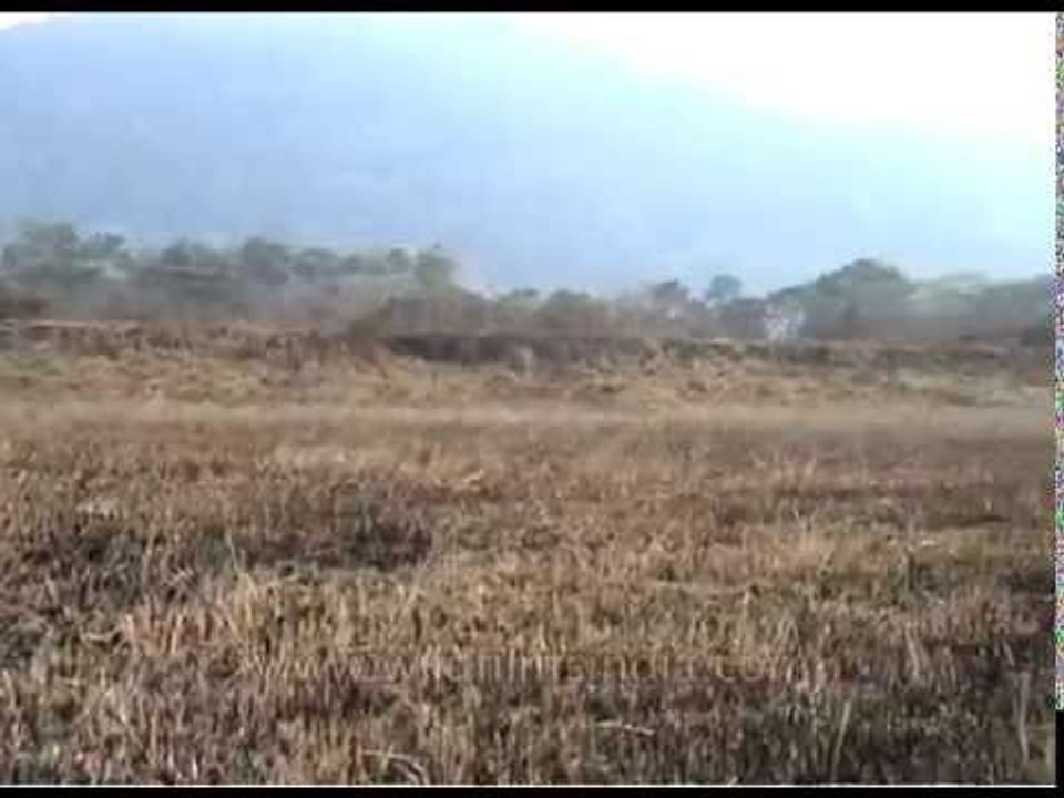 Dry grasslands at Pakke Tiger Reserve; the foot...