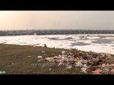 Yamuna River, polluted by industrial effluent