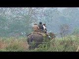 Riding elephants at Kaziranga National Park, Assam.