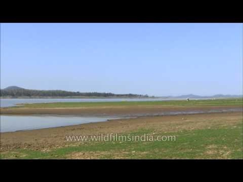 Stunning panoramic view of the River Denwa from Satpura National Park