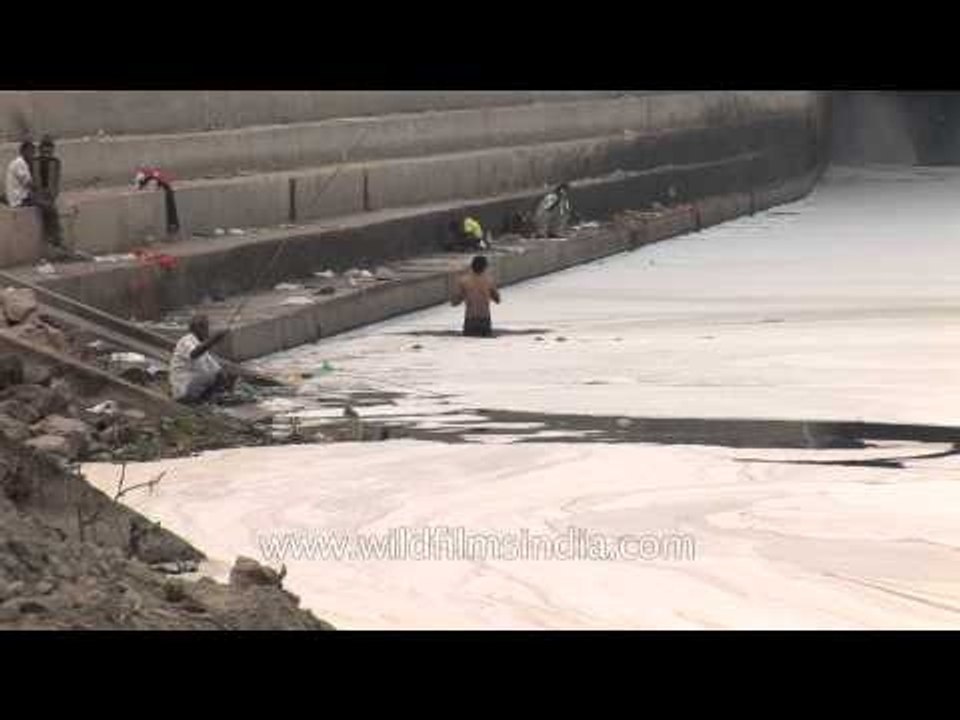 Increasing pollution levels choking Yamuna river