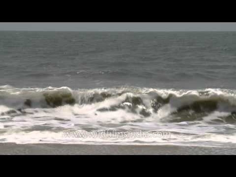 Arabian sea waves meet the shore in Cochin