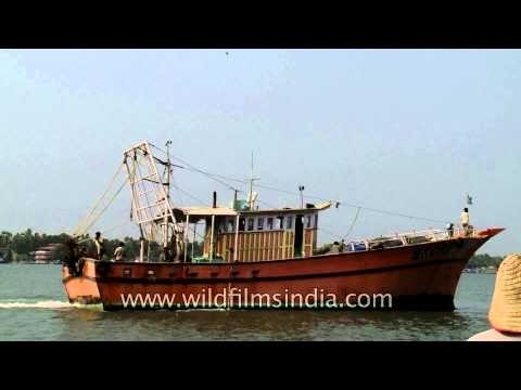 Fishing boats at Munambam harbour, Vypeen Island