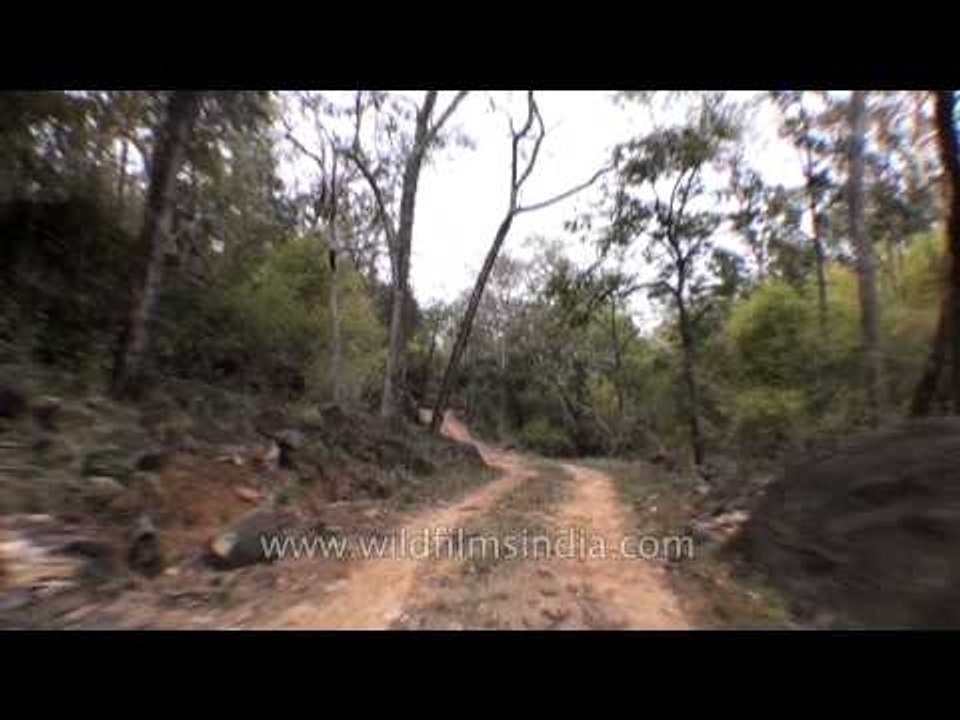 Wilderness tour at Satpura National Park