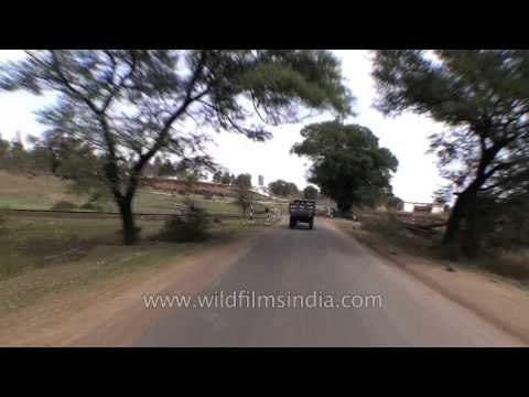 Road trip from Jabalpur to Kanha, Madhya Pradesh