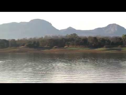 Panoramic view of Denwa River, Satpura
