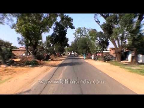 Travelling to Kanha from Jabalpur by road