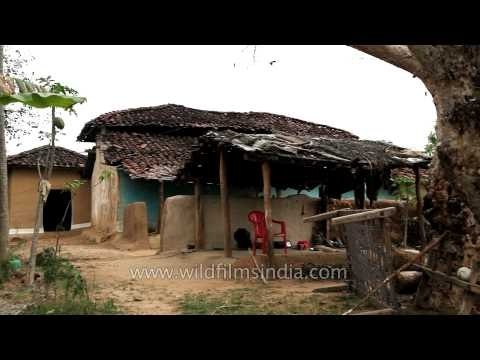 Traditional mud house at Narna village, Madhya Pradesh