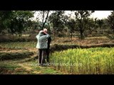 Visitors at the organic farm of Narna village, Madhya Pradesh