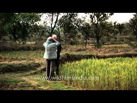 Visitors at the organic farm of Narna village, Madhya Pradesh